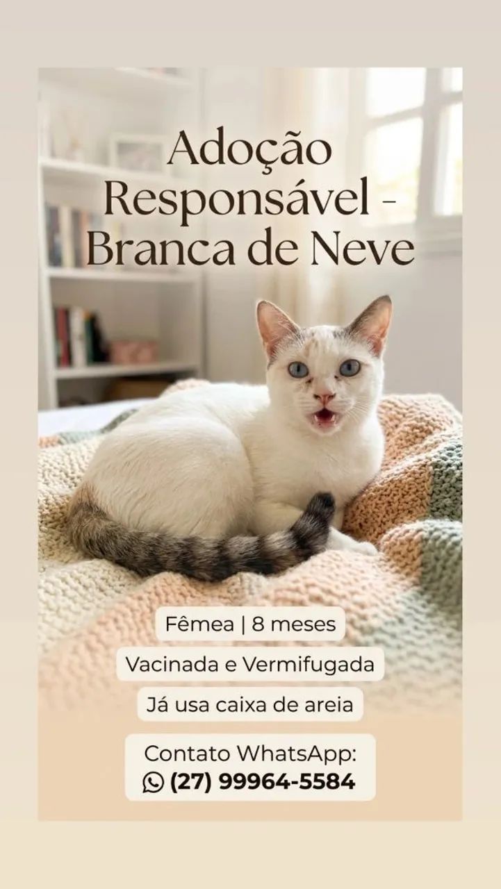 Doação  - Foto 3