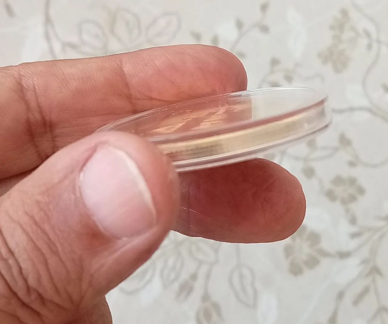 Moeda BITCOIN para Colecionador. NOVA. - Foto 3