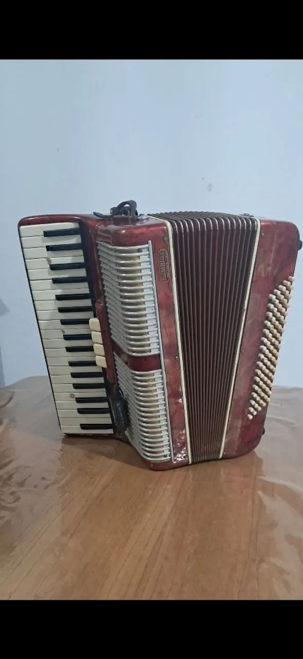 Acordeon - Foto 2