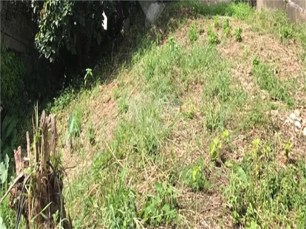Terreno à venda em Vila madalena - SP - Foto 2