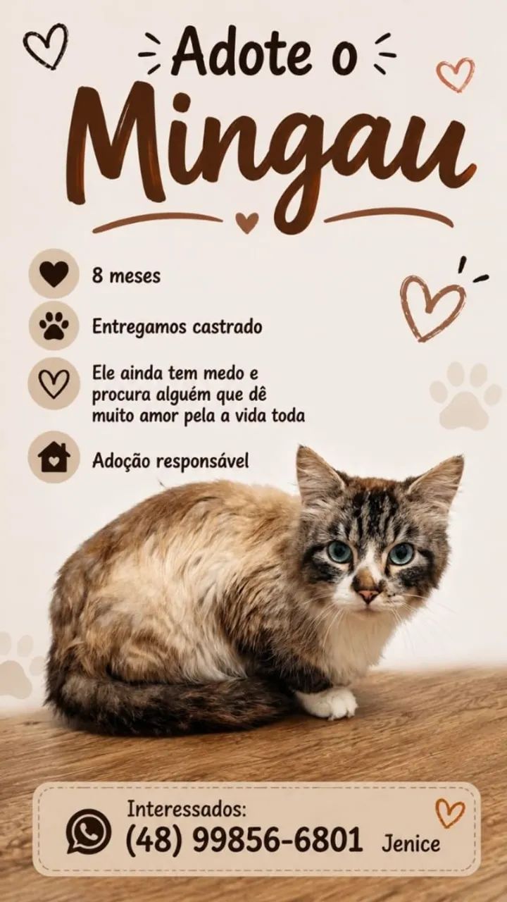 Adote o Mingau