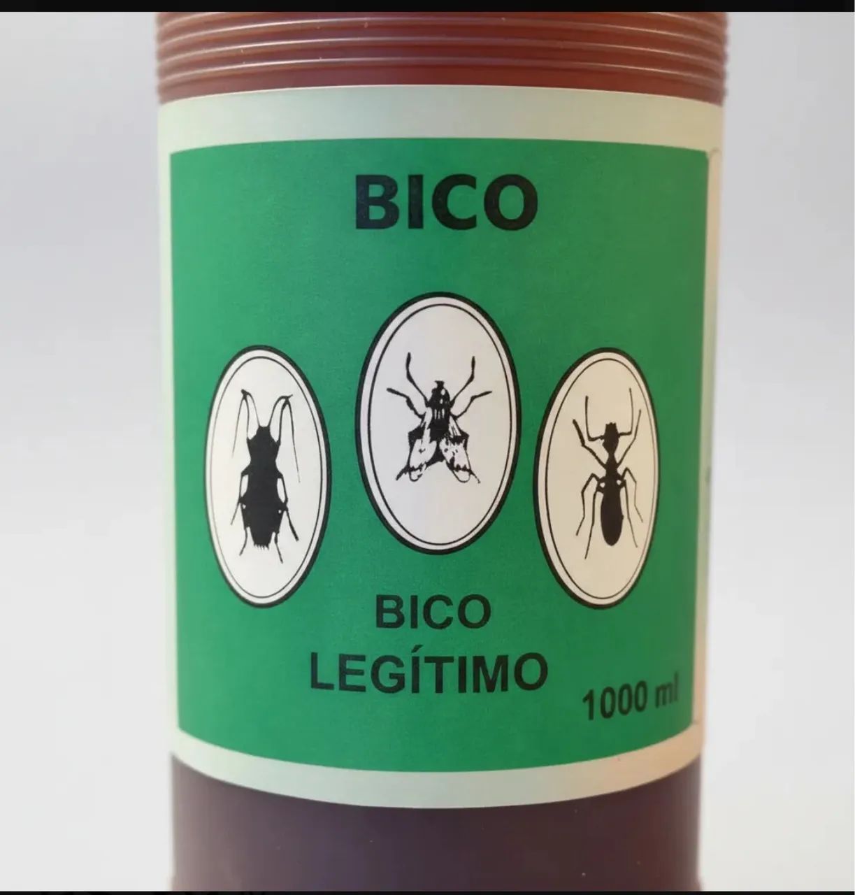 Bico mata moscas  - Foto 2