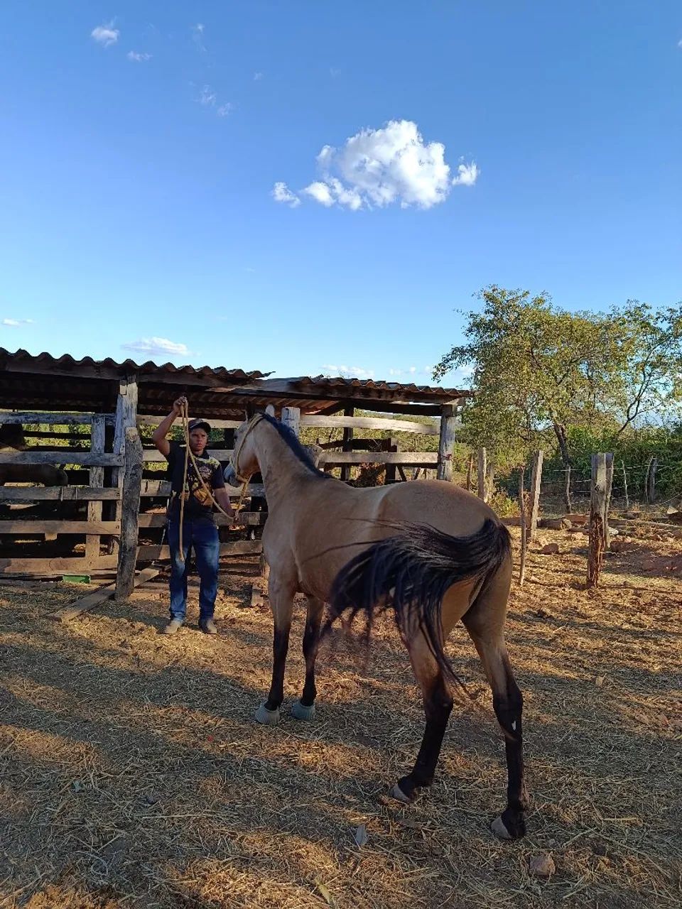 vendo ou troco - Foto 3