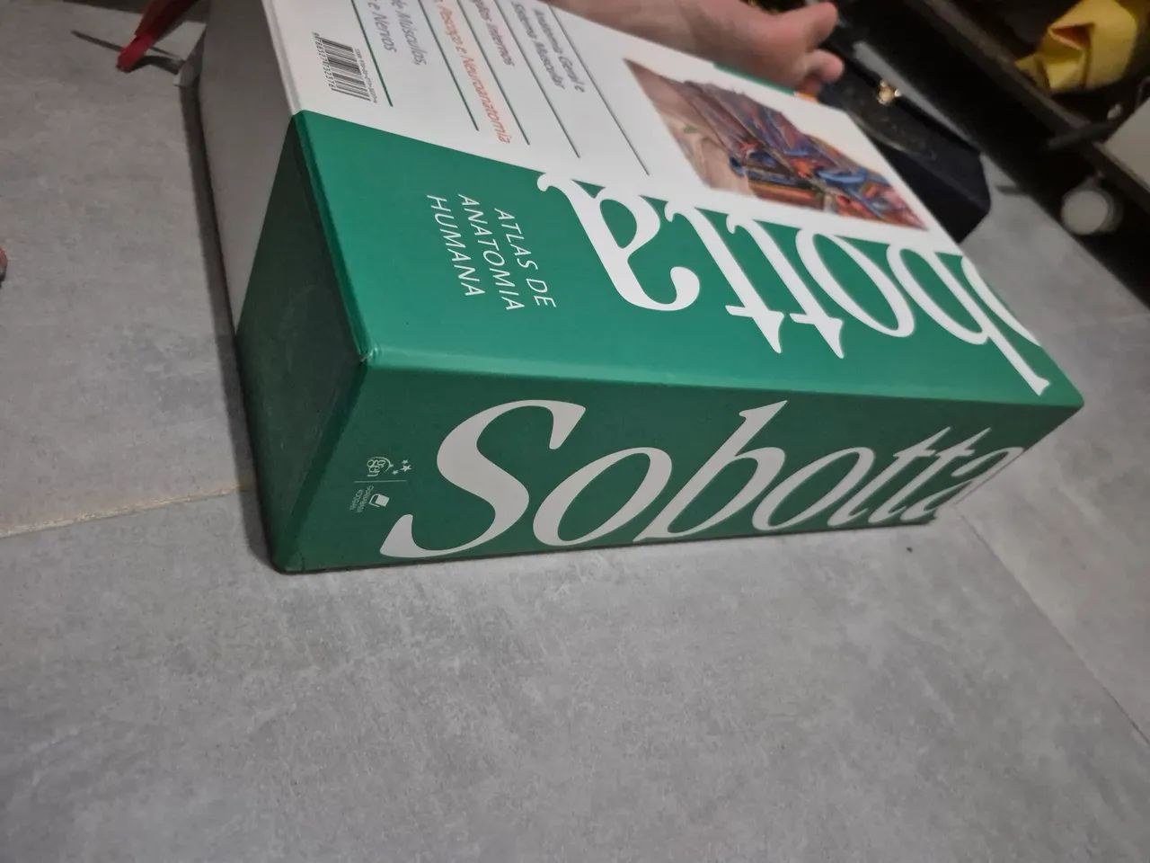 Box sobotta - Foto 3