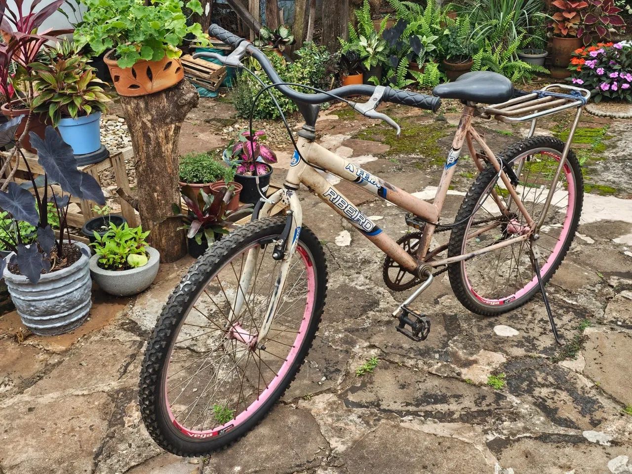 Bike Ceci - Foto 2