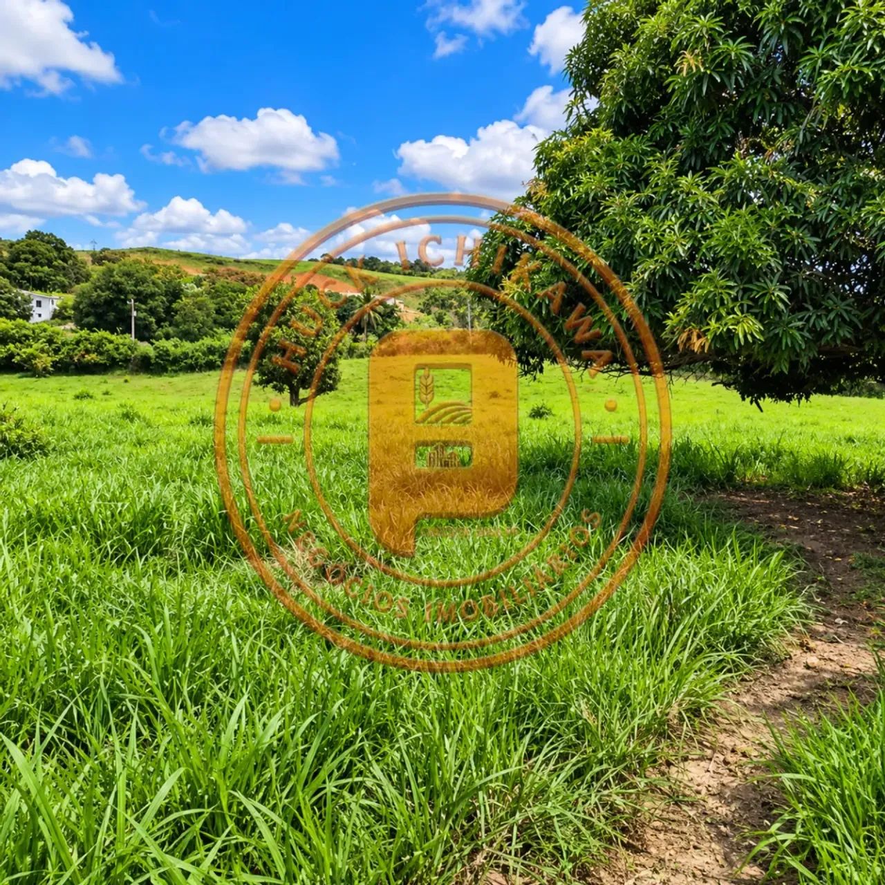 FAZENDA em MARUIM - 60 Tarefas - Foto 4