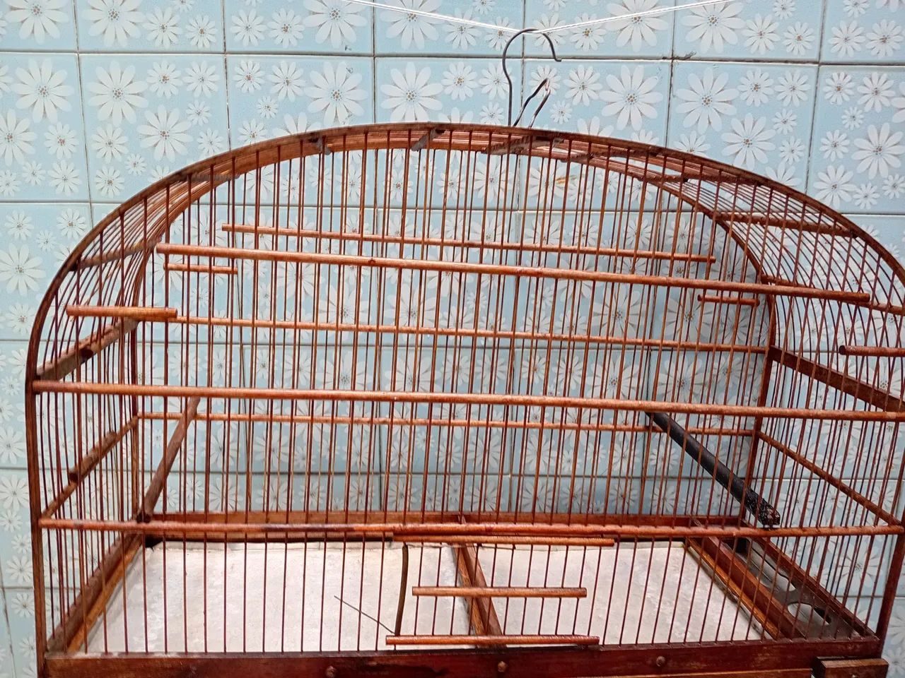 Voador grande  para passarinhos 