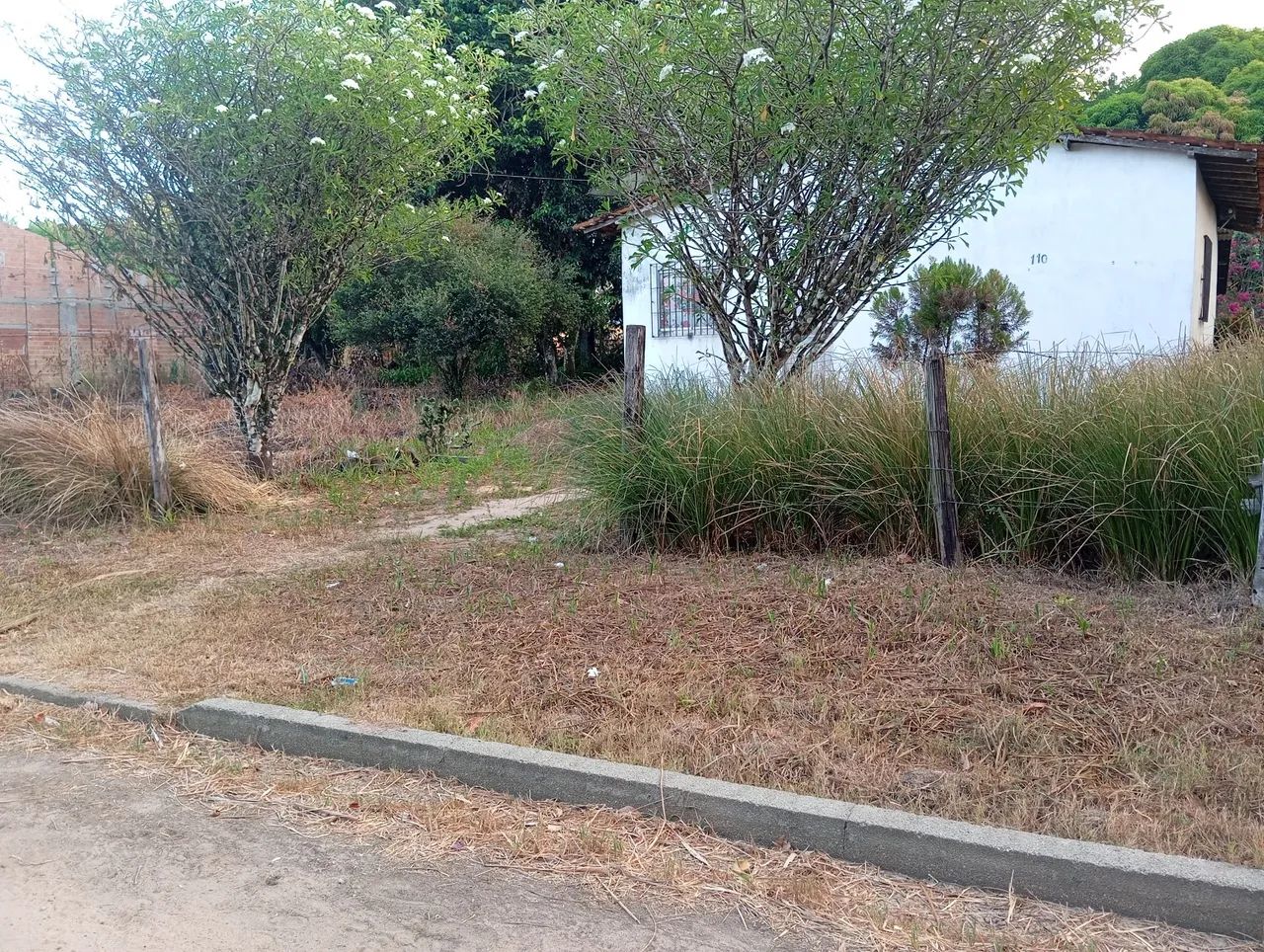 Vende-se uma casa com terreno amplo e frutífero  - Foto 2