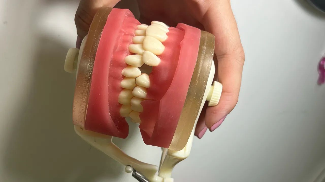 Manequim de cirurgia - odontologia 