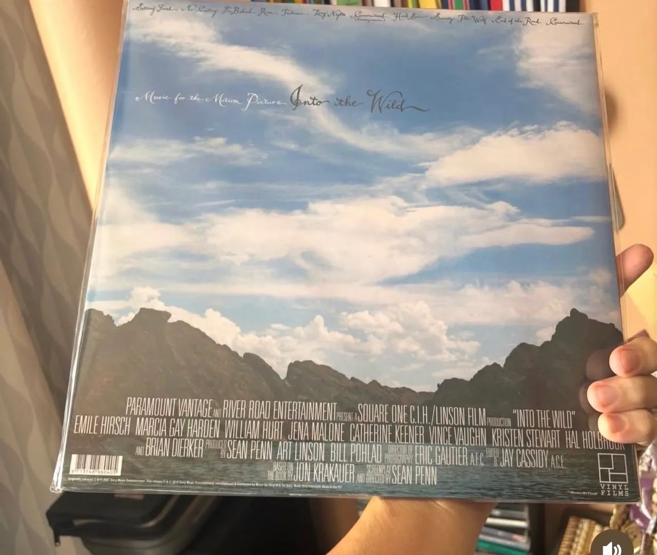 Lp Eddie Vedder ? into the wild ? importado   - Foto 2