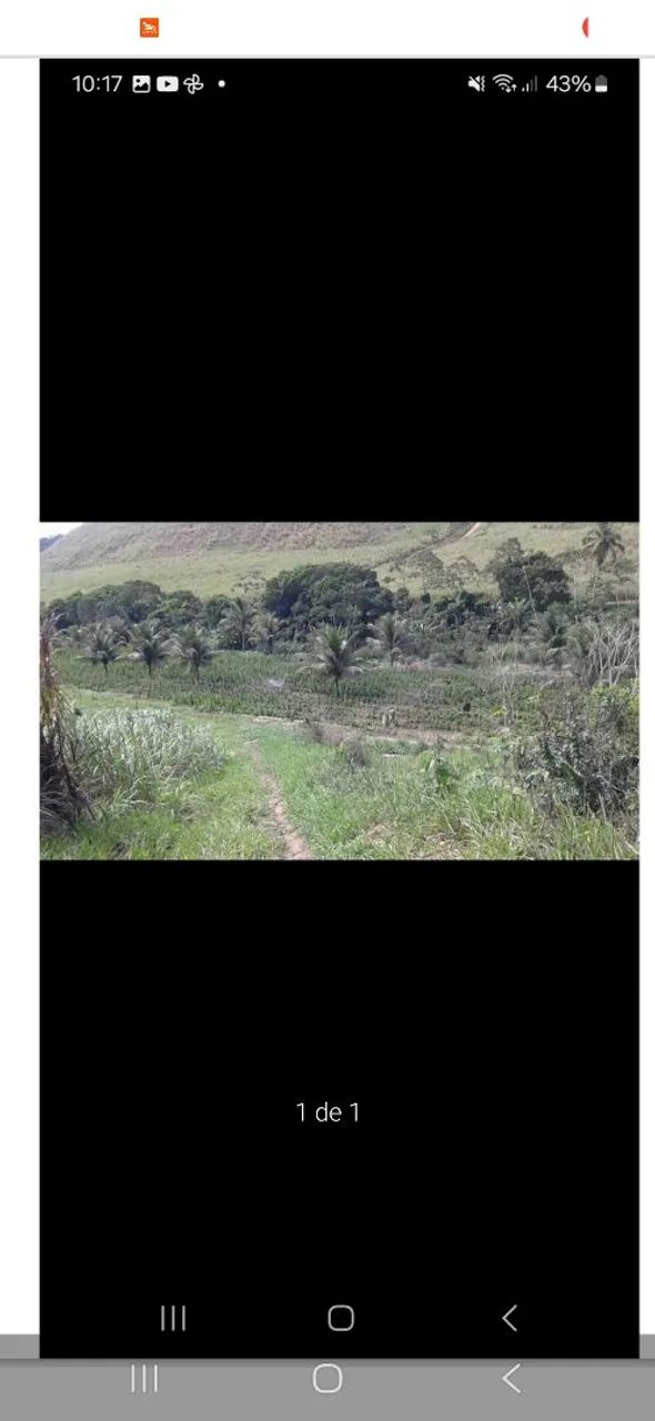 Sitio 3 hectare em alhanda  - Foto 4