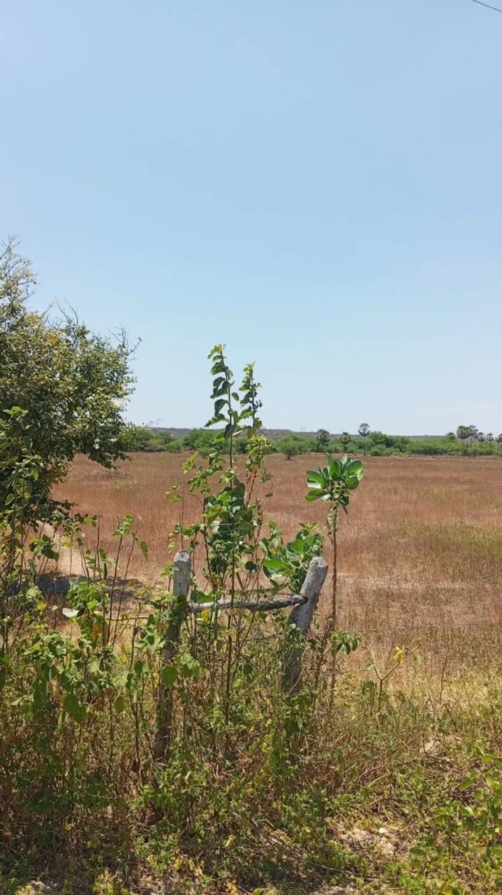 LOTE NO DENOC DE MORADA NOVA  - Foto 4