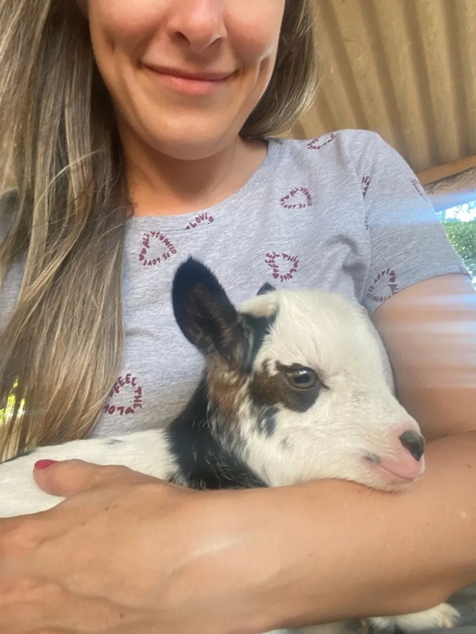 Mini cabrito - Foto 3
