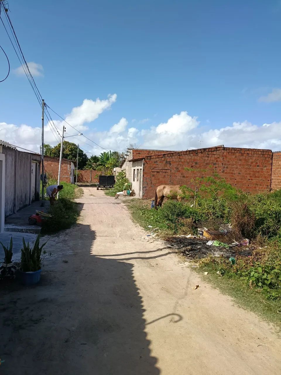 Terreno na Malhadas  - Foto 2