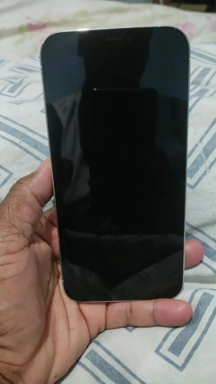 iPhone 12 Pro Max 