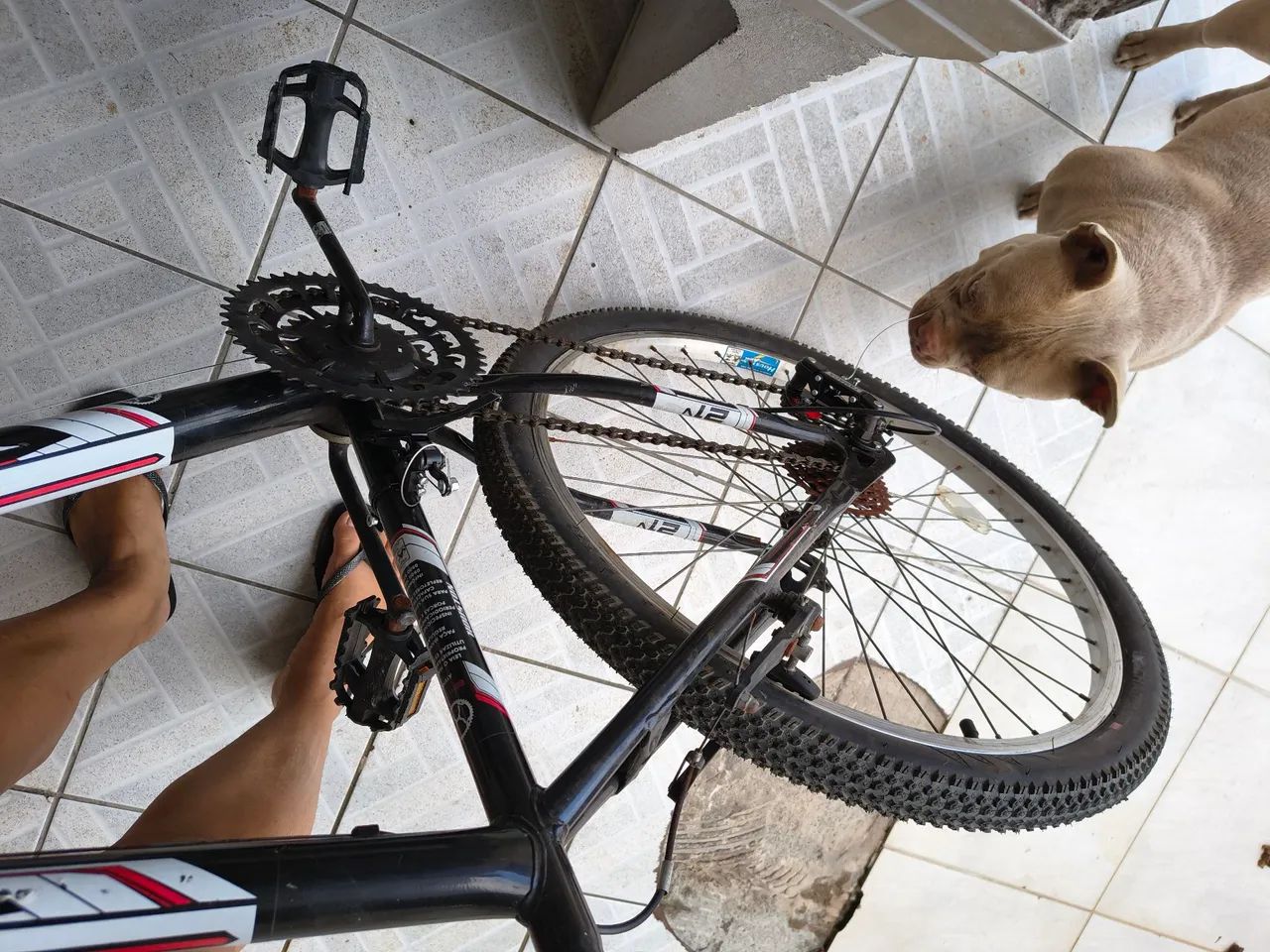 Bicicleta de marcha aro 26 - Foto 2