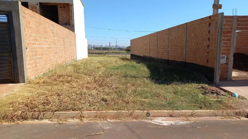 Foto - Ribeirão Preto - Fazenda Santa Rita do Picadão