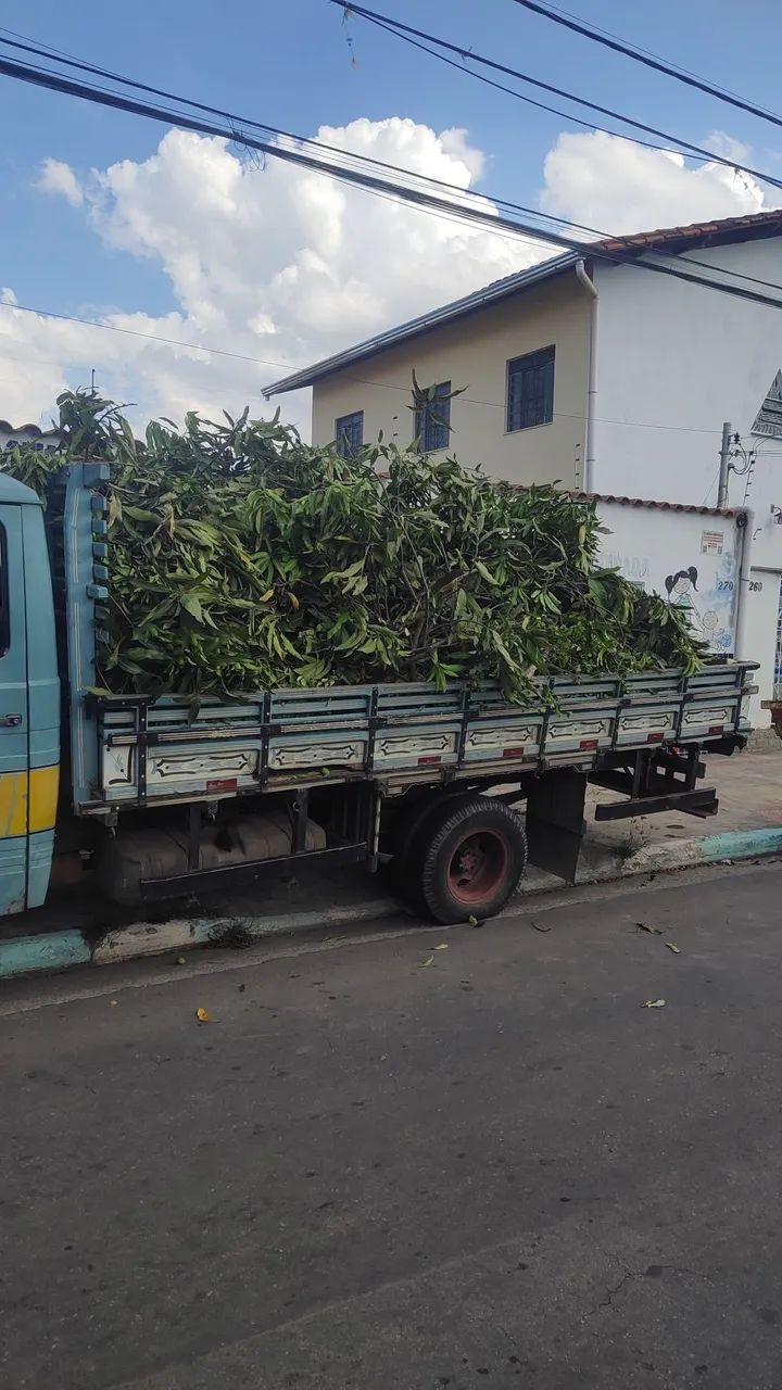 Retirada de todos os tipos de materiais 