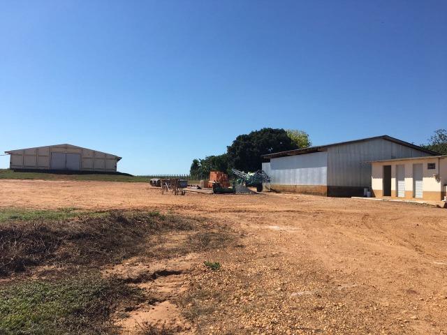 Granja com área de 40 hectares, localizada a 50 km de Lucas do Rio Verde - Foto 19
