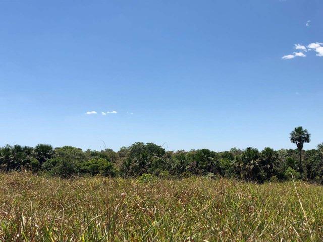 Fazenda - Paraíso do Tocantins/TO - Foto 14