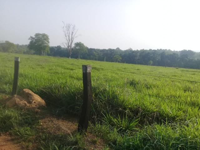 Fazenda - Paraíso do Tocantins/TO - Foto 13