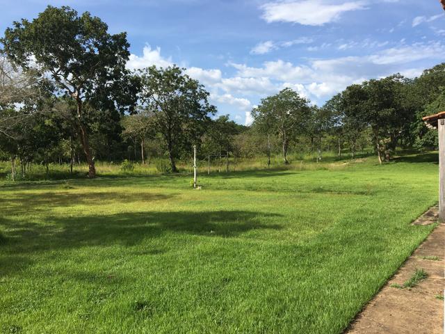 Vendo Chacara na região do Sucuri - Foto 6