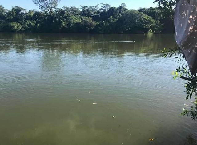 Fazenda 350,hectares beira do rio cuiaba - Foto 10