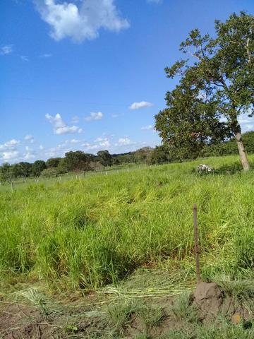 Fazenda 350,hectares beira do rio cuiaba - Foto 6