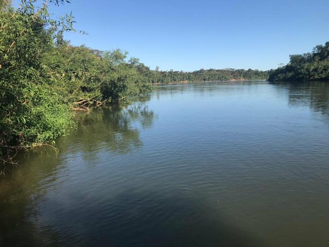 Fazenda 350,hectares beira do rio cuiaba - Foto 3