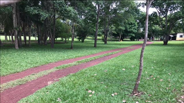 Fazenda 350,hectares beira do rio cuiaba - Foto 9