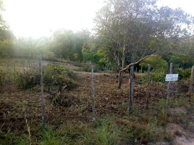 Terreno próximo à Praia do Forte - Foto 4