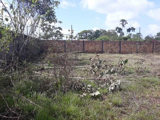 Terreno comercial e residêncial 20x30 registrado na Dois de Júnior Lado do COPM - Foto 6