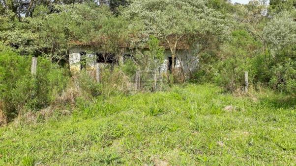 Chácara à venda em Chácara águas claras, Piraquara cod:150595 - Foto 4