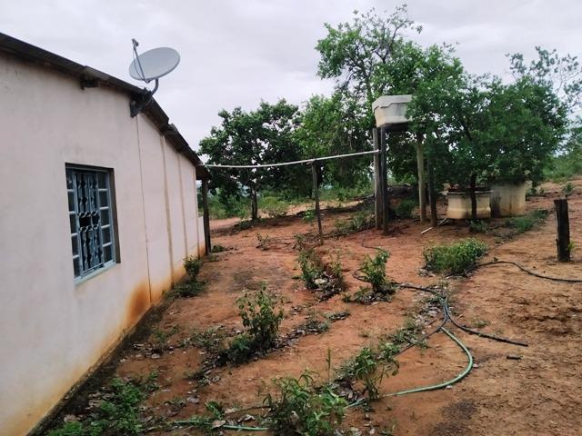 Elci Martins Vende Fazendinha em Três Marias, 50.000m2, água e luz - Foto 12