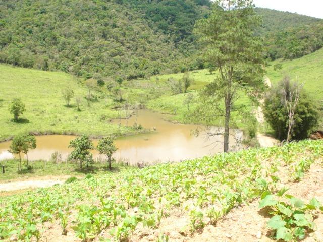 Alugo Fazenda em Liberdade MG - Foto 7