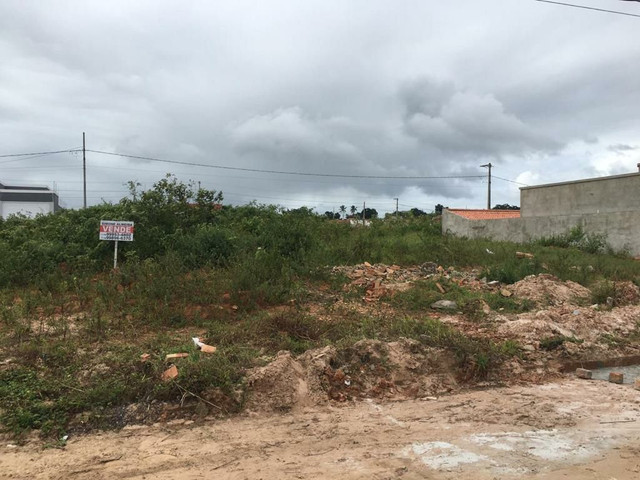 Vendo  - Luar de Lagarto / Colorado   