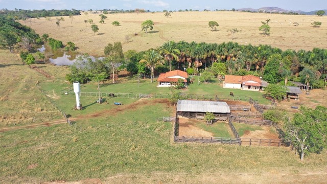 Fazenda 67 Alqueires em Santa Isabel-Go  - Foto 3