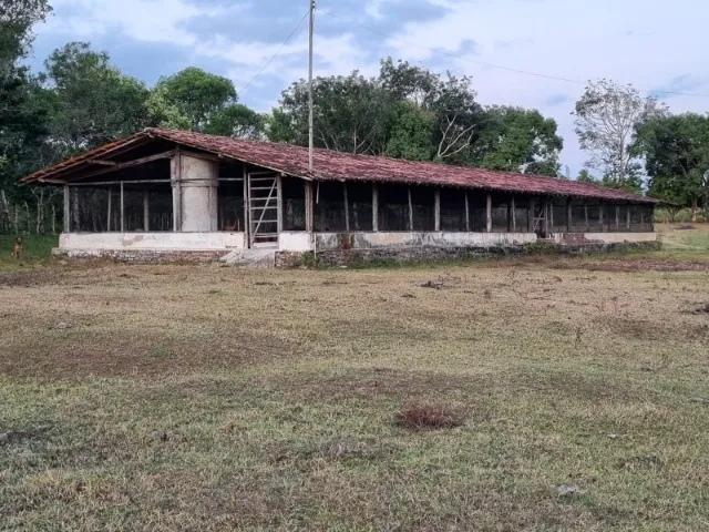 Alugo 5 galpões para criação de frangos em Nísia Floresta