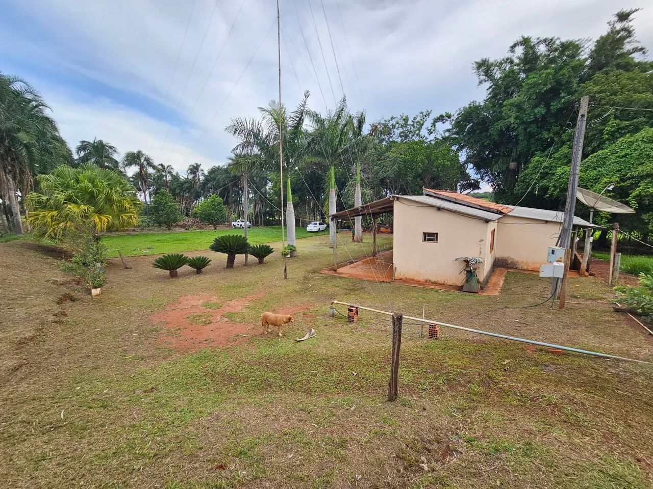 Chácara 5 Hectares com Córrego em Jaraguari Velho! - Foto 3