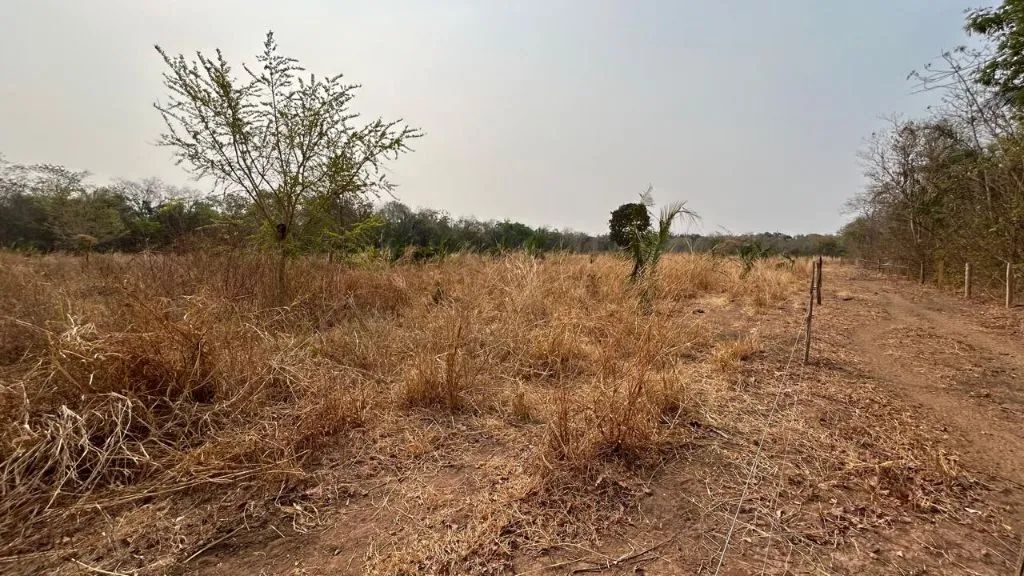 SITIO LIVRAMENTO TERRA DE CULTURA - Foto 3