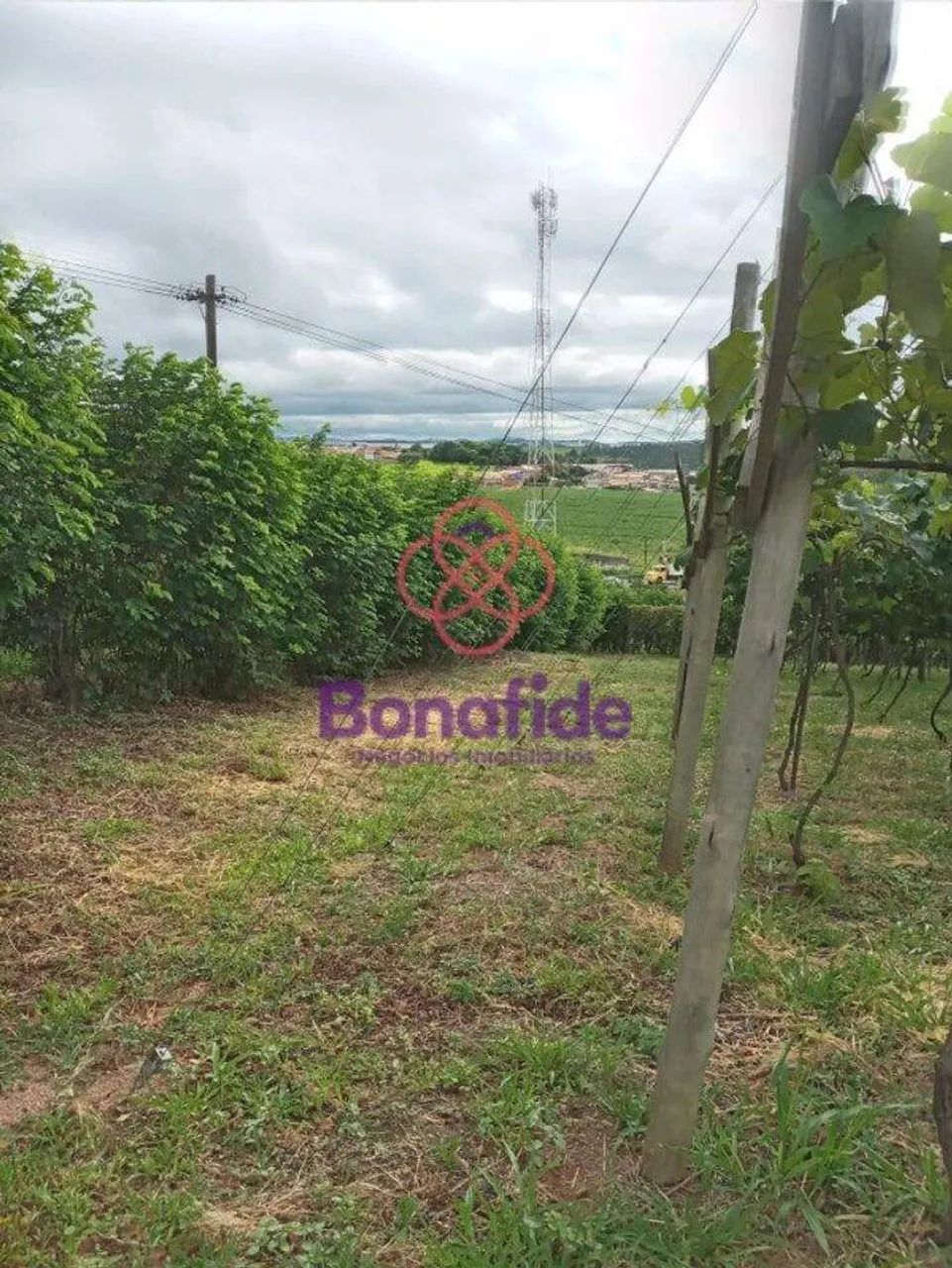 Área Comercial à venda, - AR0061. - Foto 4