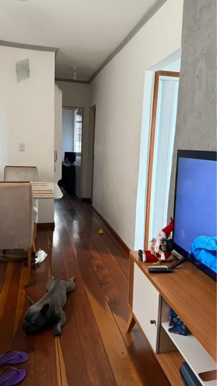 VAGA DE QUARTO - SANTA EFIGÊNIA (BH) (Não é república).