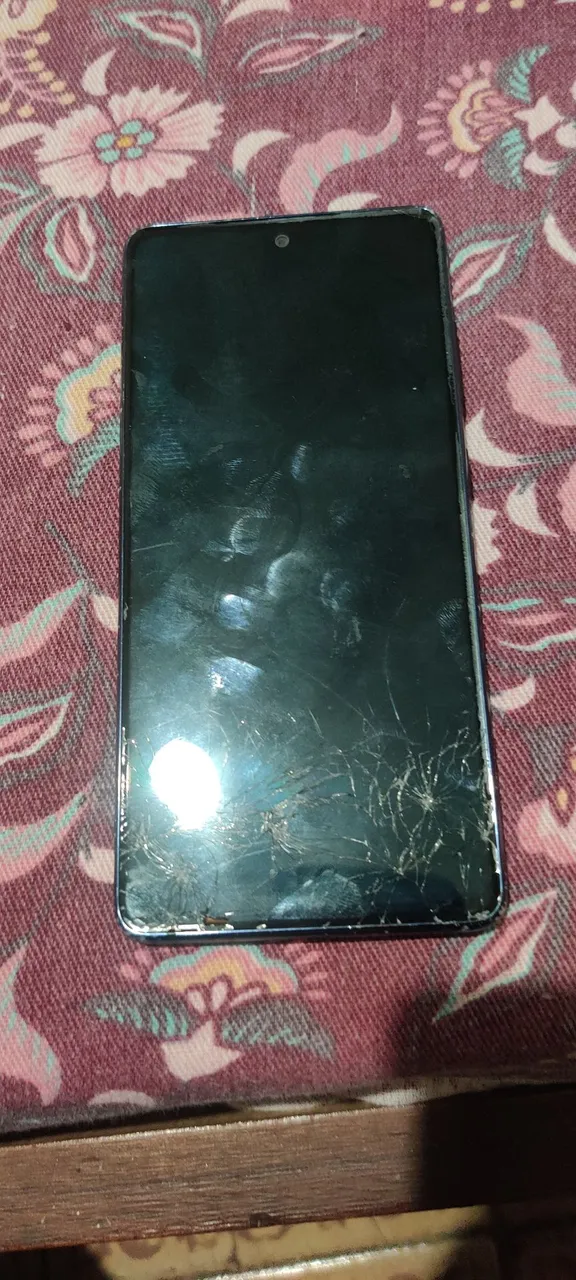 S20 fé 128 gb 6 RAM a placa queimou não funciona