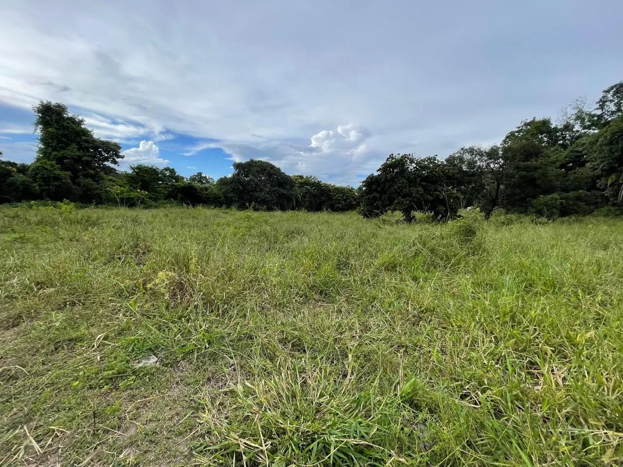 Ótima chácara (oportunidade) - Foto 3