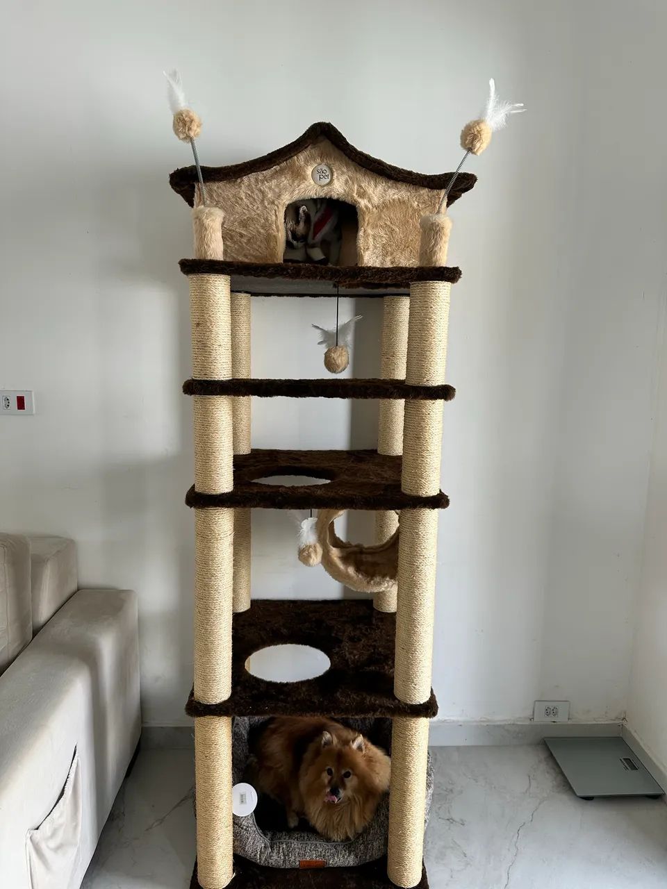  vende se casa para gatos