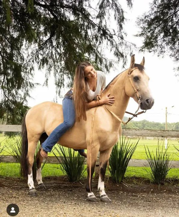 Cavalo Crioulo para venda - Foto 2