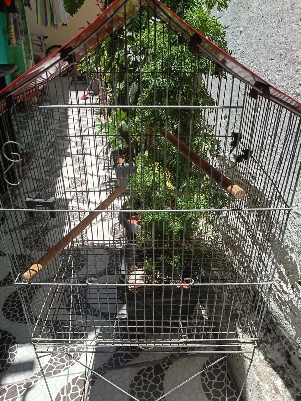 Gaiola para calopsita 64319325076481121