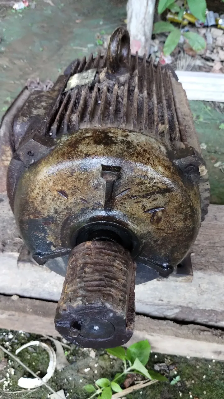 Motor 25 CV trifase