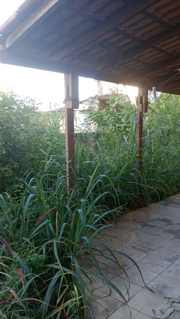 Serviço de capinagem e roçagem  - Foto 5
