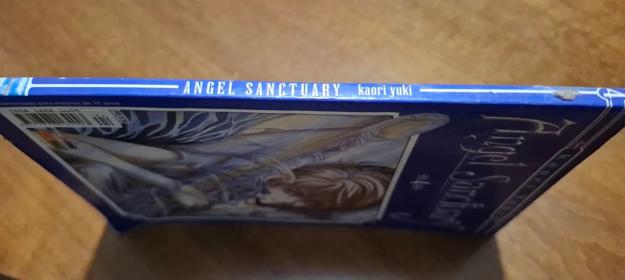Mangá Angel Sanctuary Vol. 4 - Foto 2